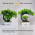 Plastic Artificial Bonsai Tree