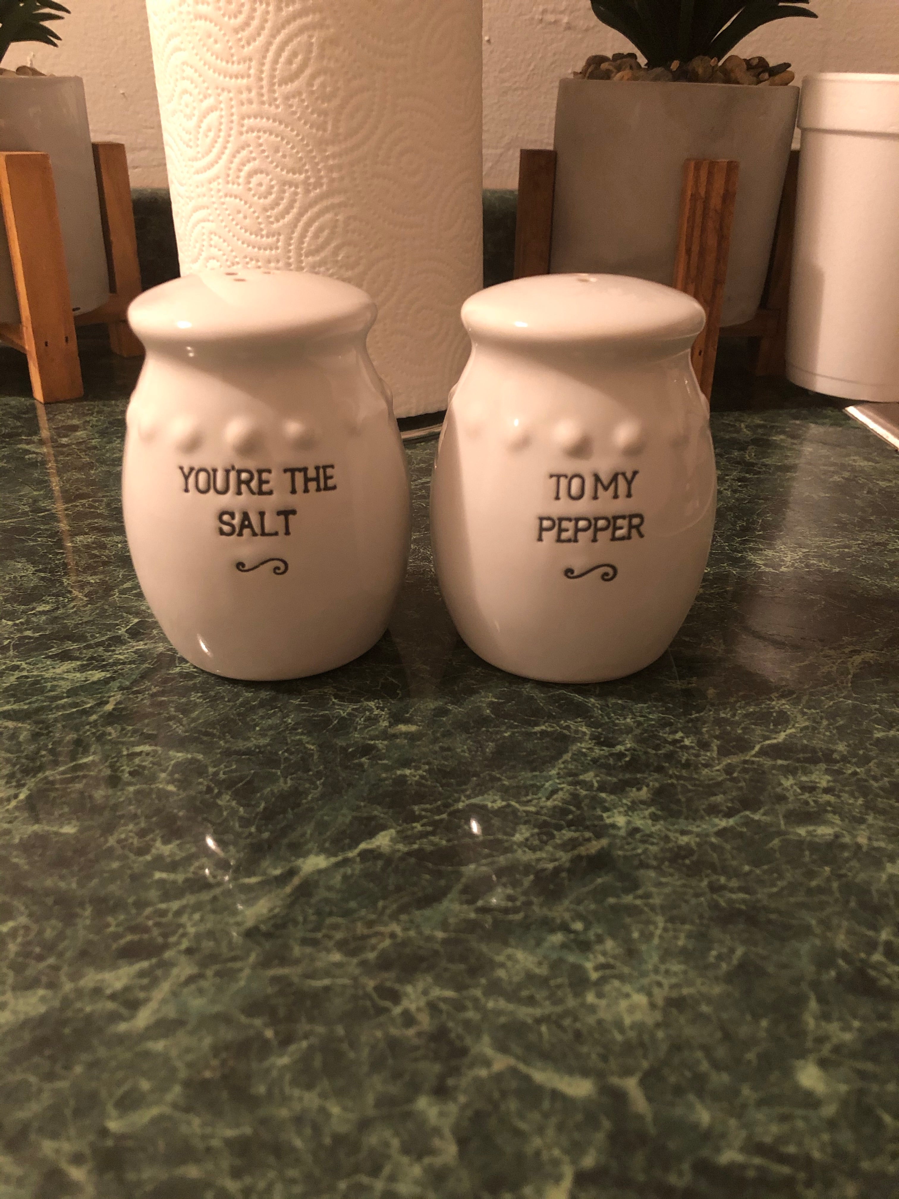 You Are the SALT to My PEPPER Salt and Pepper Salt Shaker 